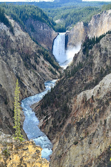 Yellowstone National Park thumb 7